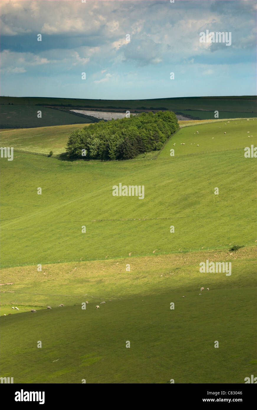 A view of the South Downs from the picturesque Steyning Bowl in West Sussex. Stock Photo