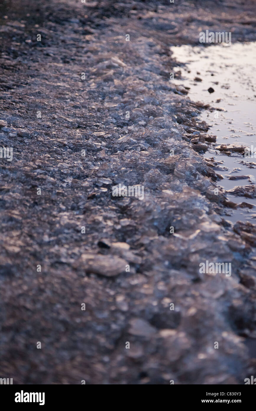 Bumpy Ice Puddle ice park hi-res stock photography and images - Alamy