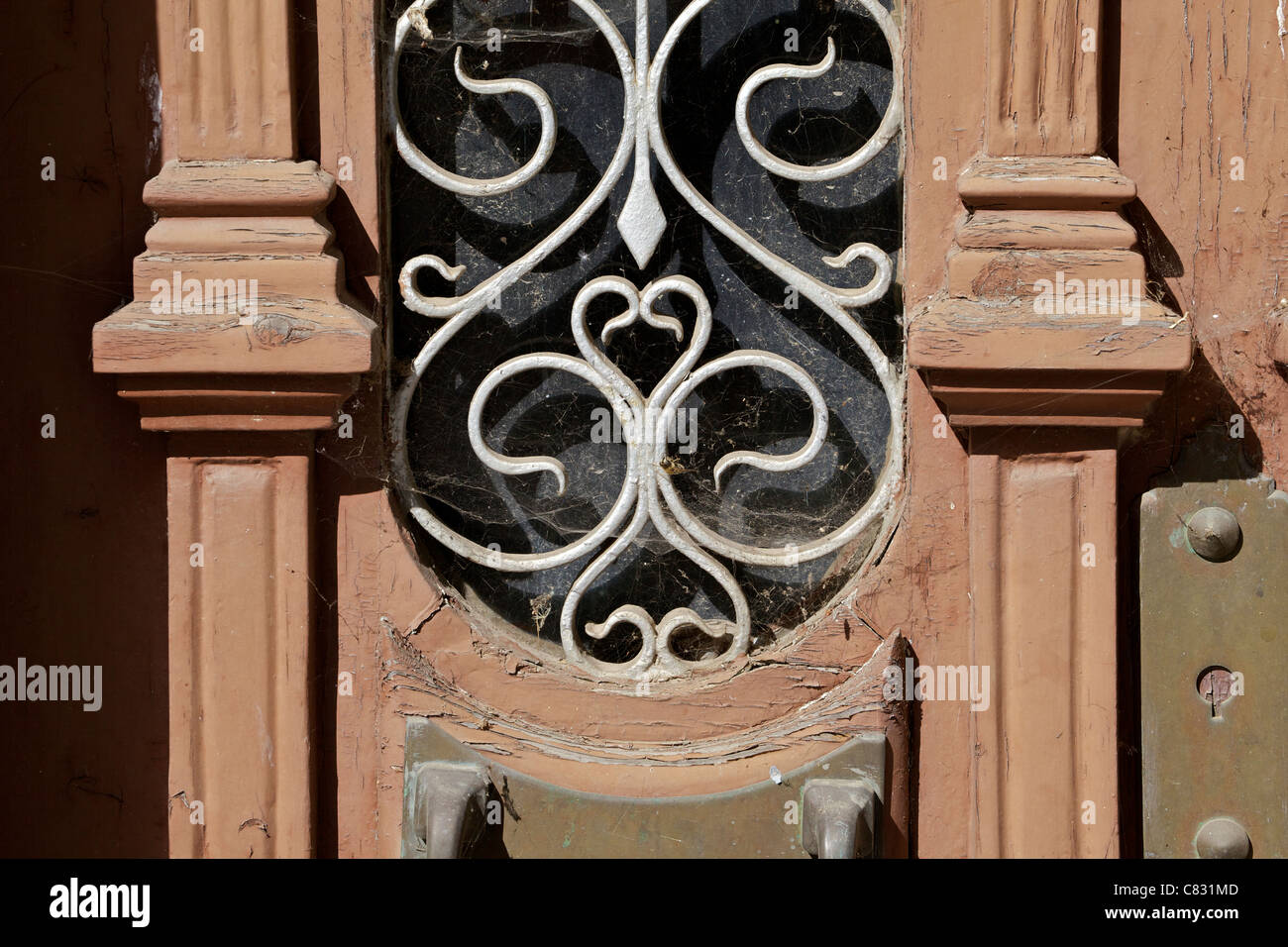 Detail of a Brown Wood Door with a Bee Caught in a Spider Web Stock Photo