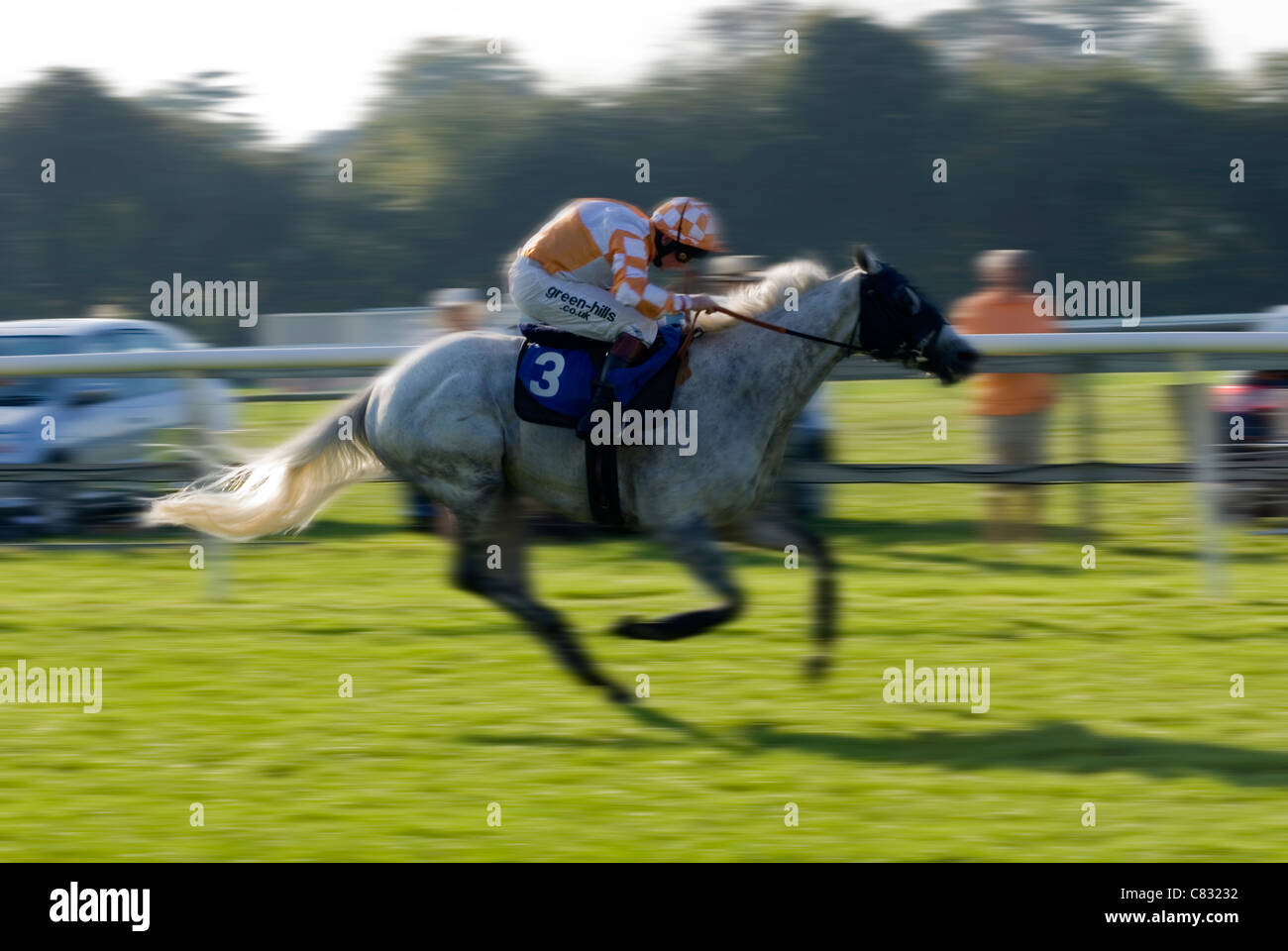 Horse racing Single horse racing UK Stock Photo