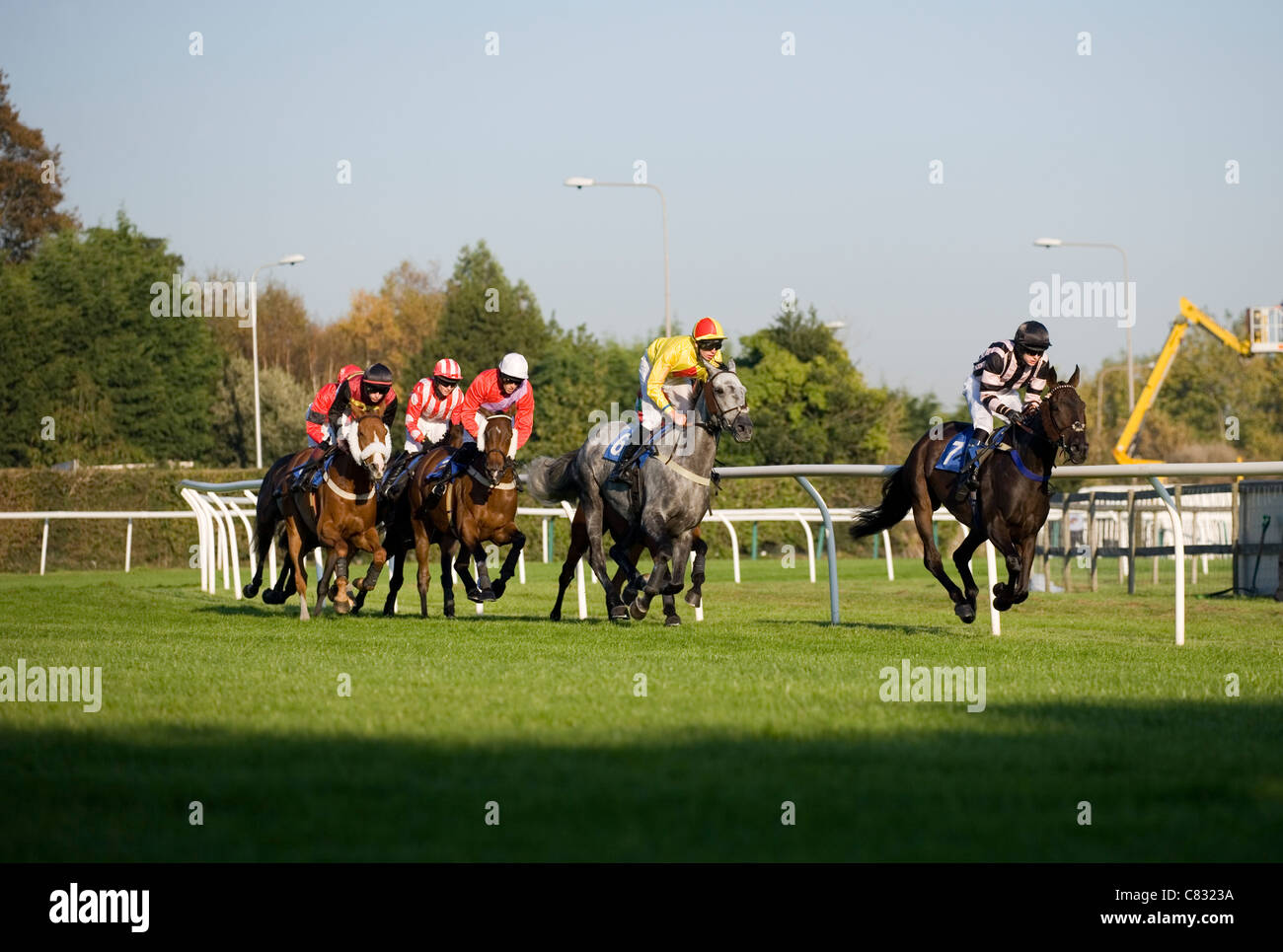 Horse racing Group of horses racing UK Stock Photo Alamy