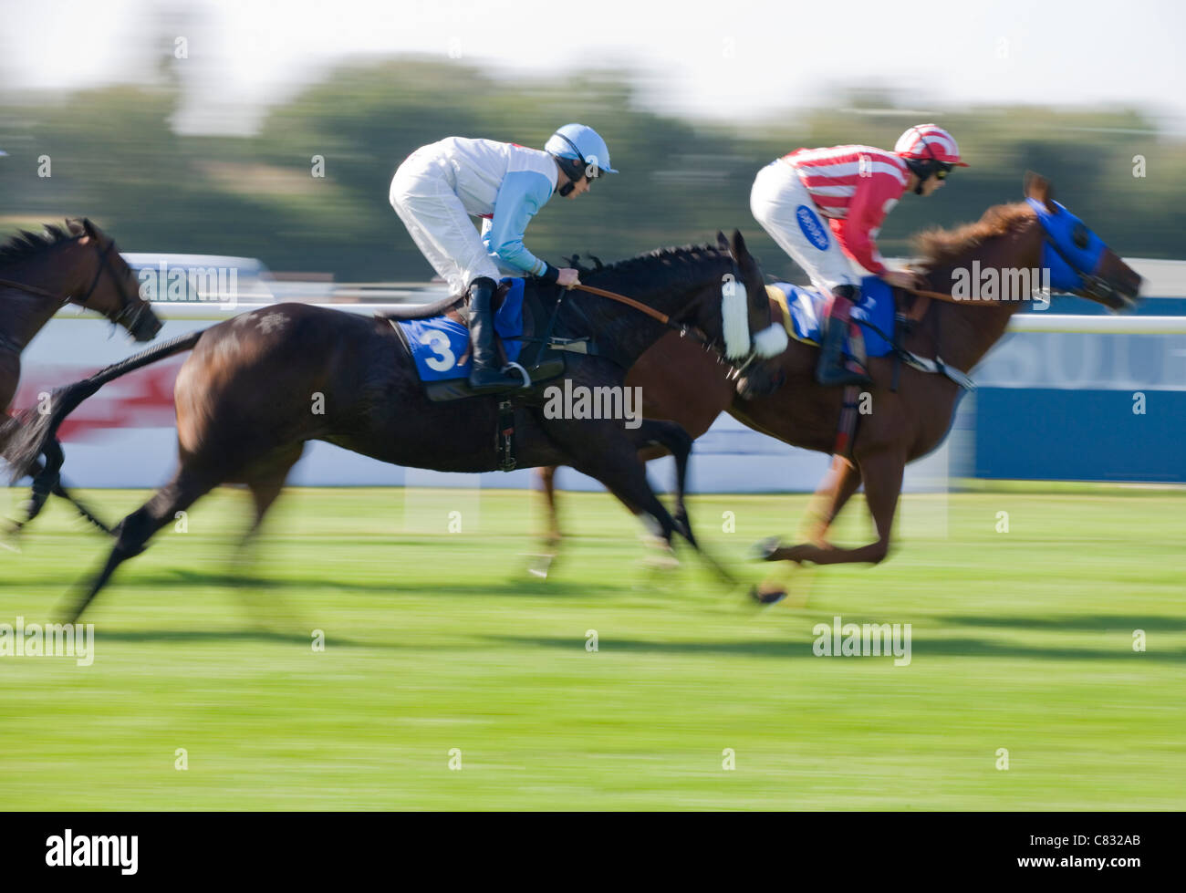 Horse racing Group of horses racing UK Stock Photo Alamy