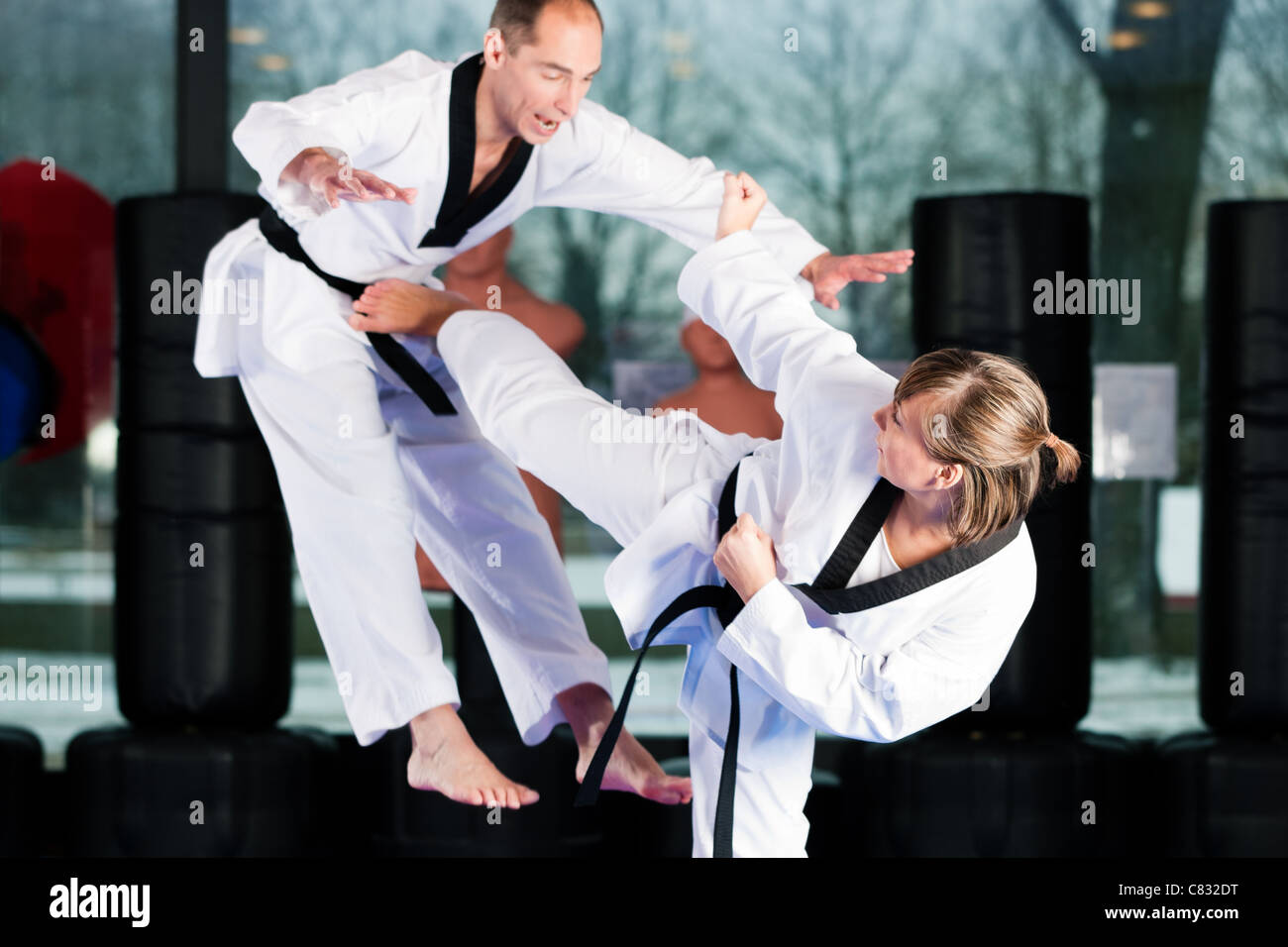 Taekwondo hires stock photography and images Alamy