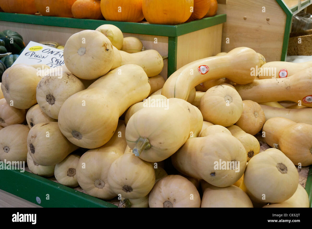 Squash at a market, Vegetable Squashes Stock Photo