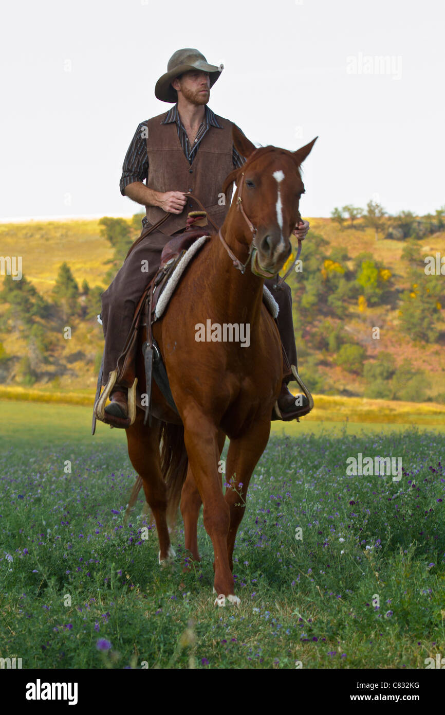 Cowboy horse hires stock photography and images Alamy