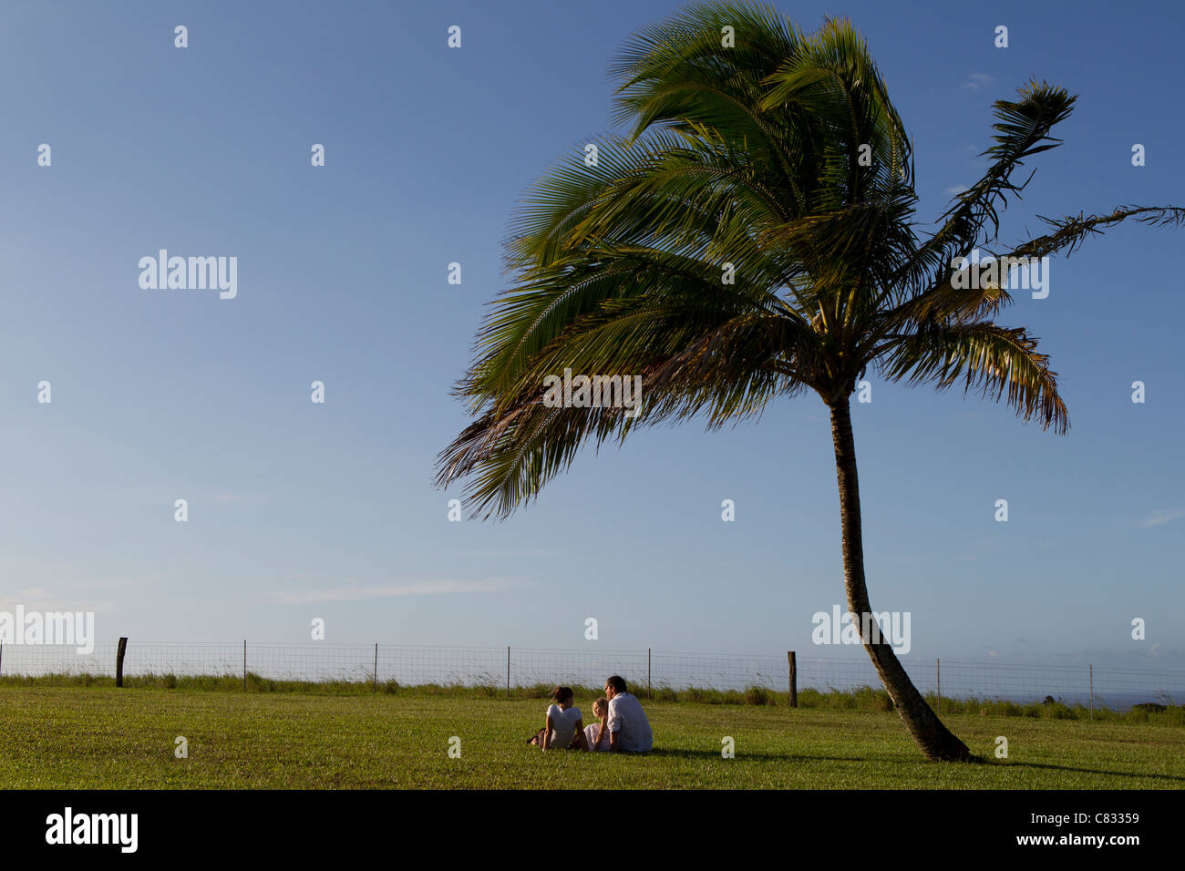 A family on vacation in maui hi-res stock photography and images - Alamy