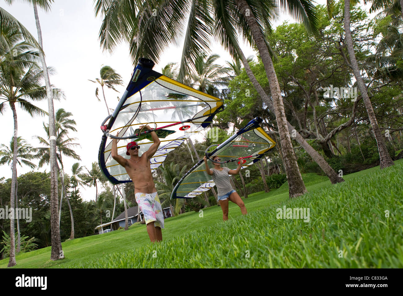 Windsurfing in Maui USA Stock Photo Alamy