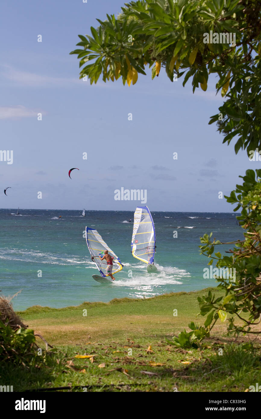 Windsurfing in Maui USA Stock Photo Alamy