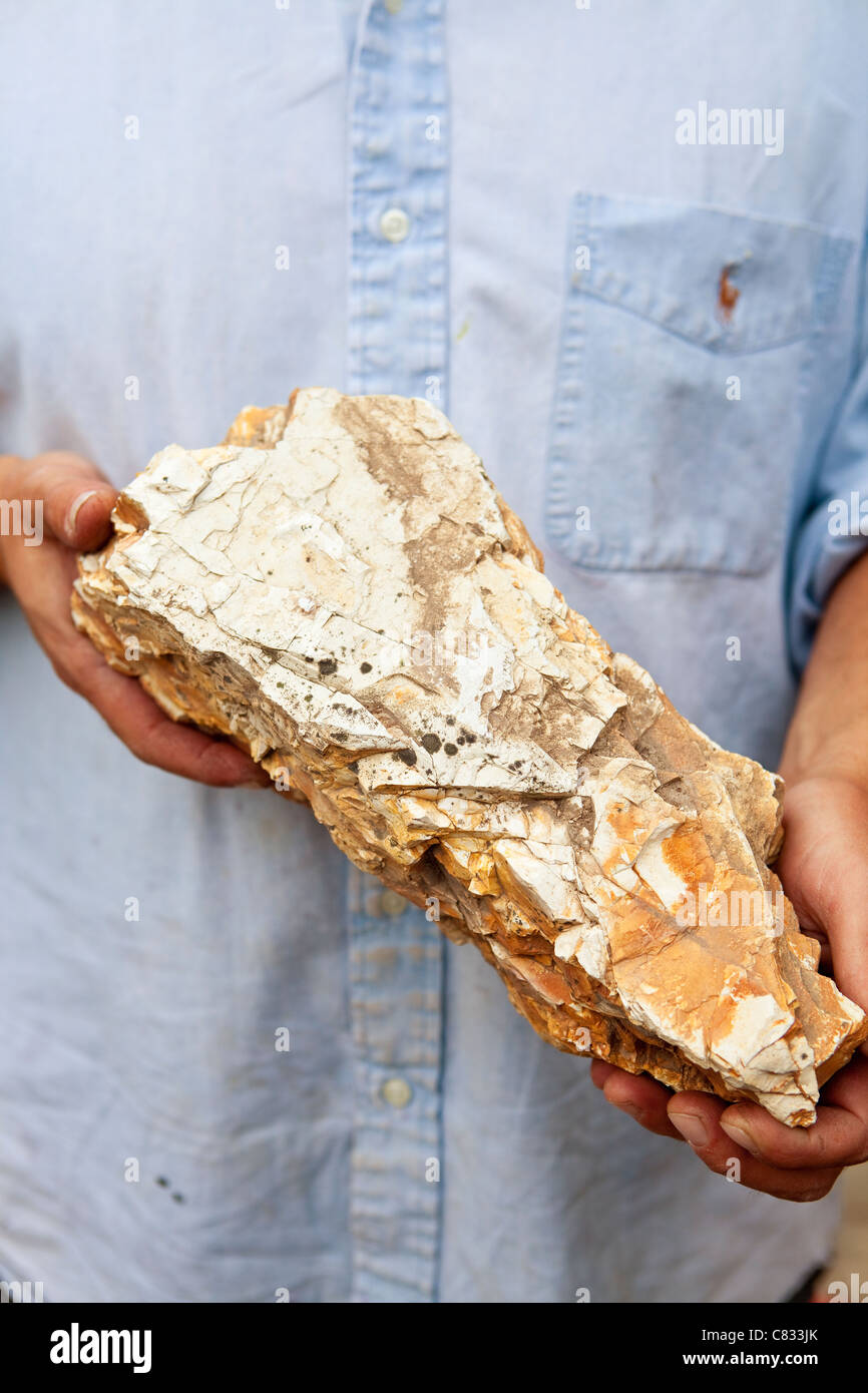 local sandstone breaks down into calcium carbonate style soil, Beckman Vineyard, Santa Ynez Valley, California, United States Stock Photo