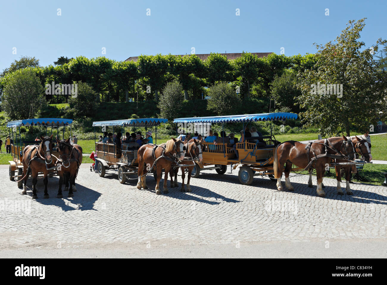 Horse carriages on the Herreninsel, Chiemgau Upper Bavaria Germany Stock Photo