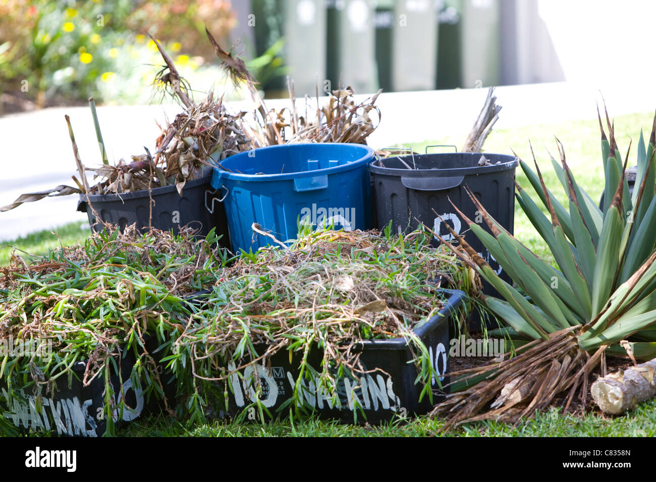 green garden waste by the roadside in containers awaiting council