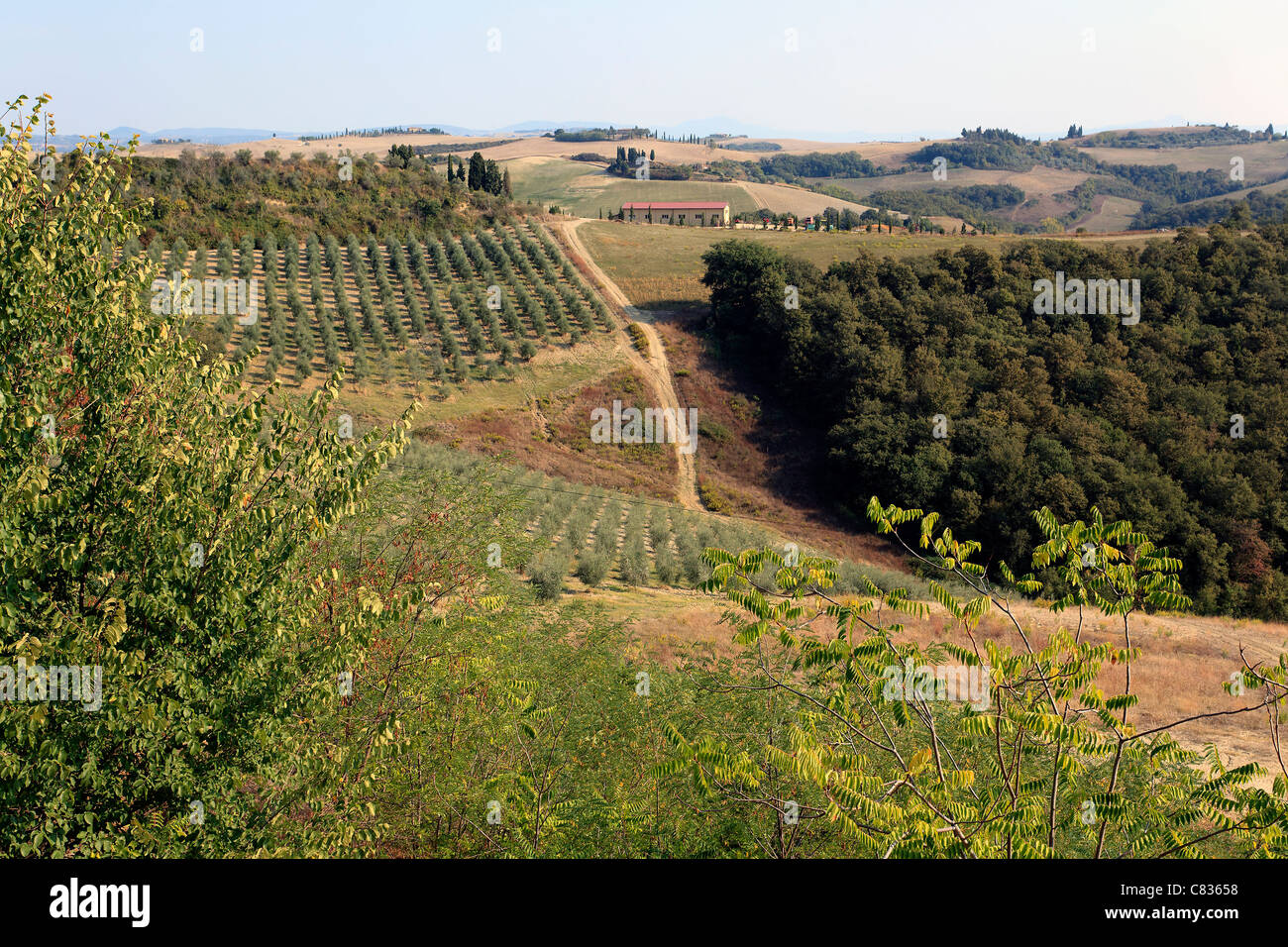 Tuscan undulating landscaape. Stock Photo