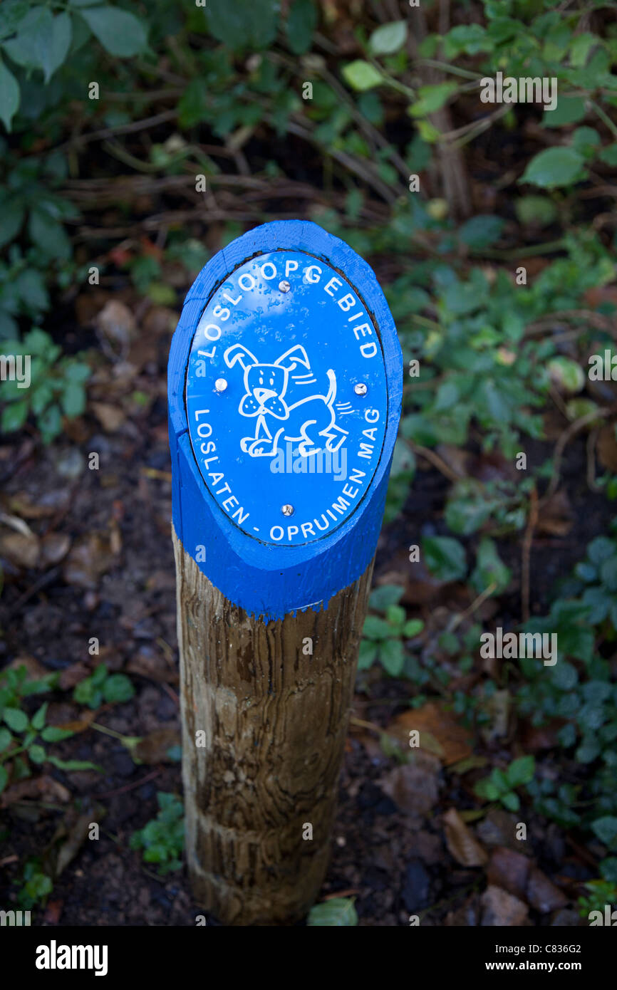 Sign stray dogs allowed, Alblasserdam, Netherlands Stock Photo Alamy