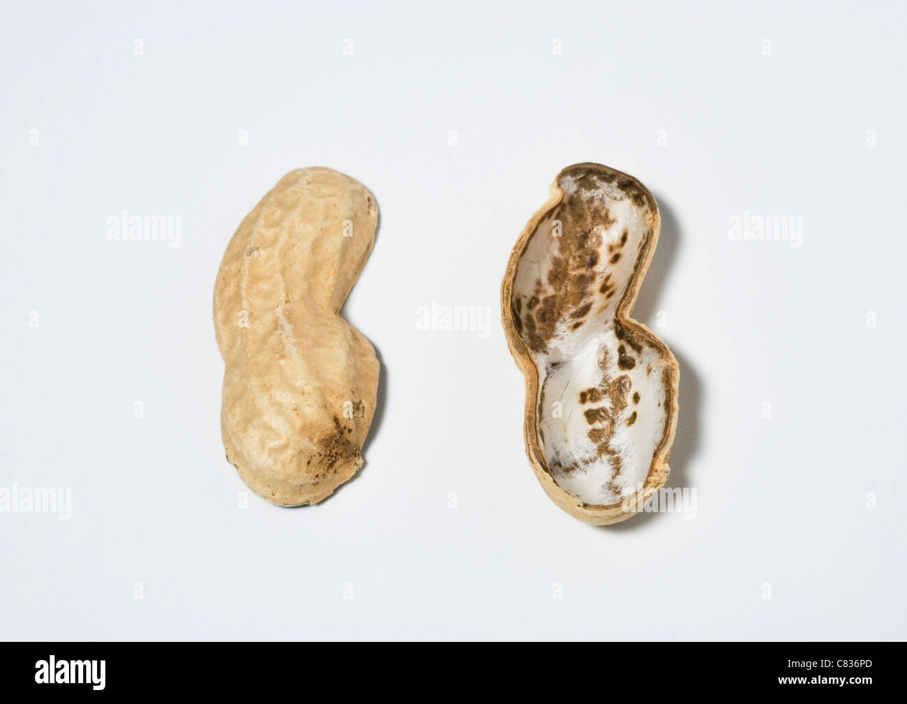 roasted peanut shell Stock Photo Alamy