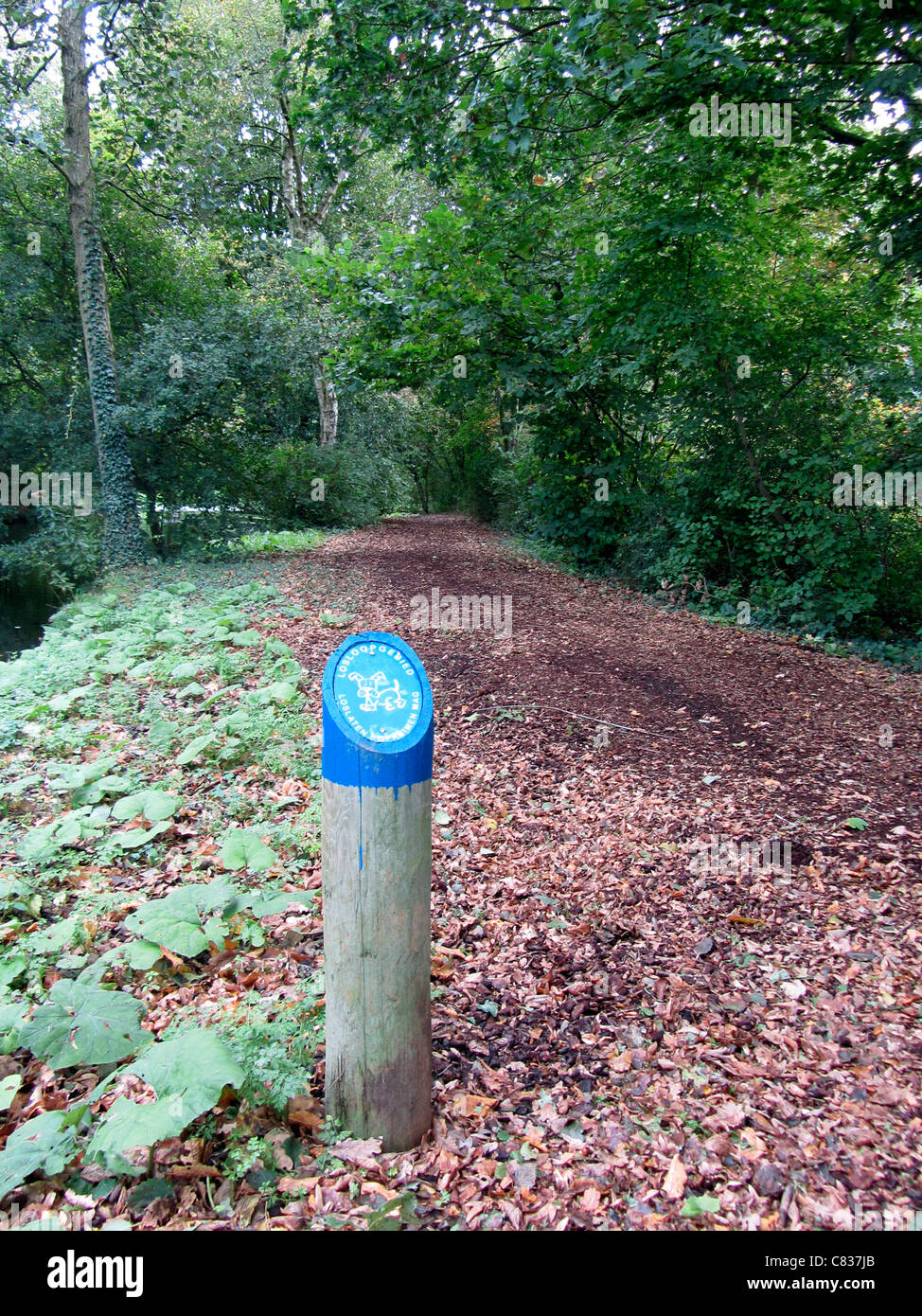Sign stray dogs allowed, Alblasserdam, Netherlands Stock Photo Alamy