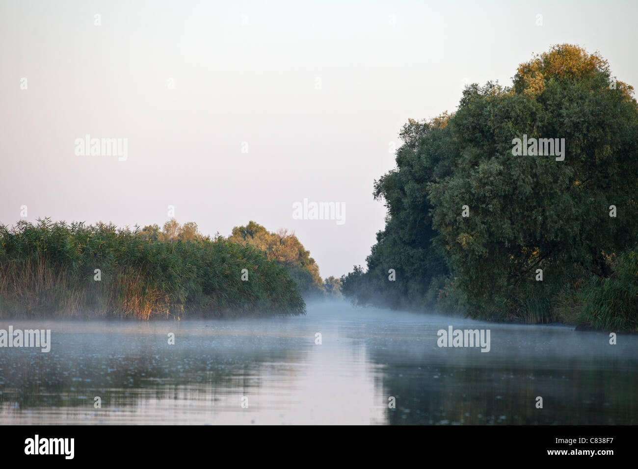 Morning on Danube river delta, Romania Stock Photo