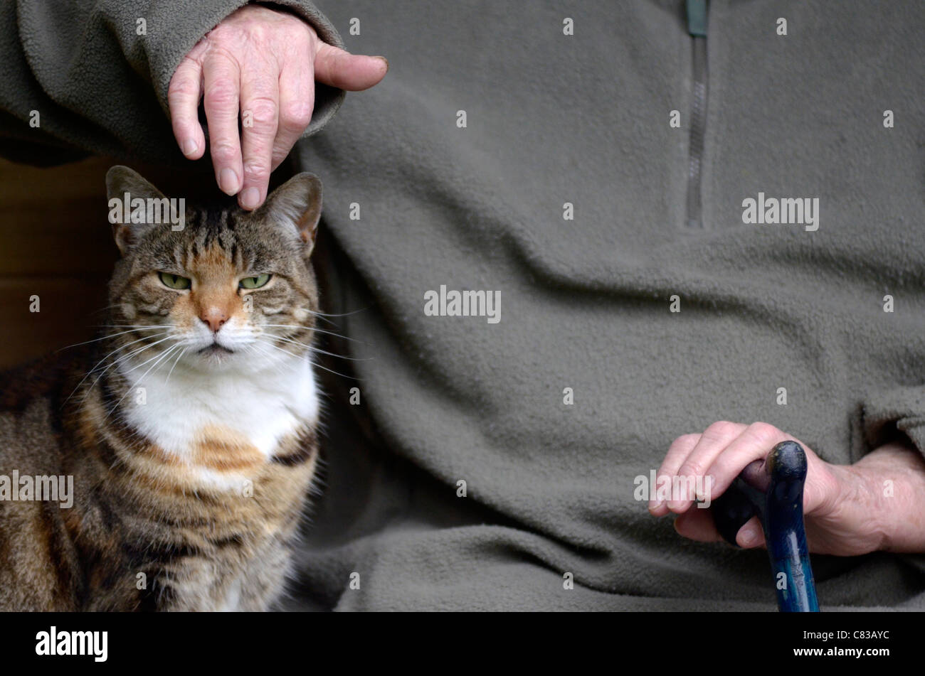 Elderly lady with big tabby cat Stock Photo