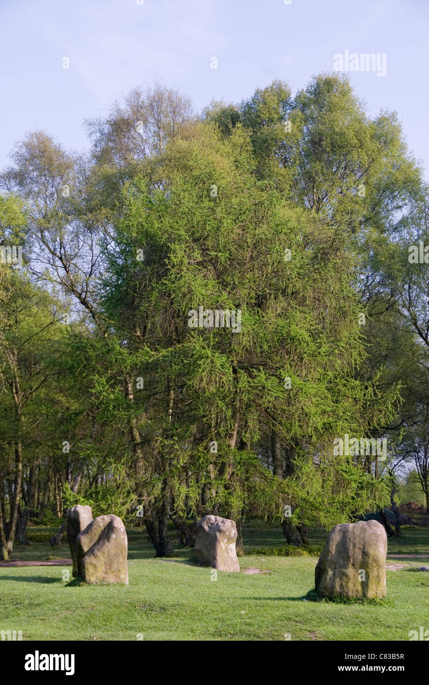 The nine ladies stone circle hi-res stock photography and images - Alamy