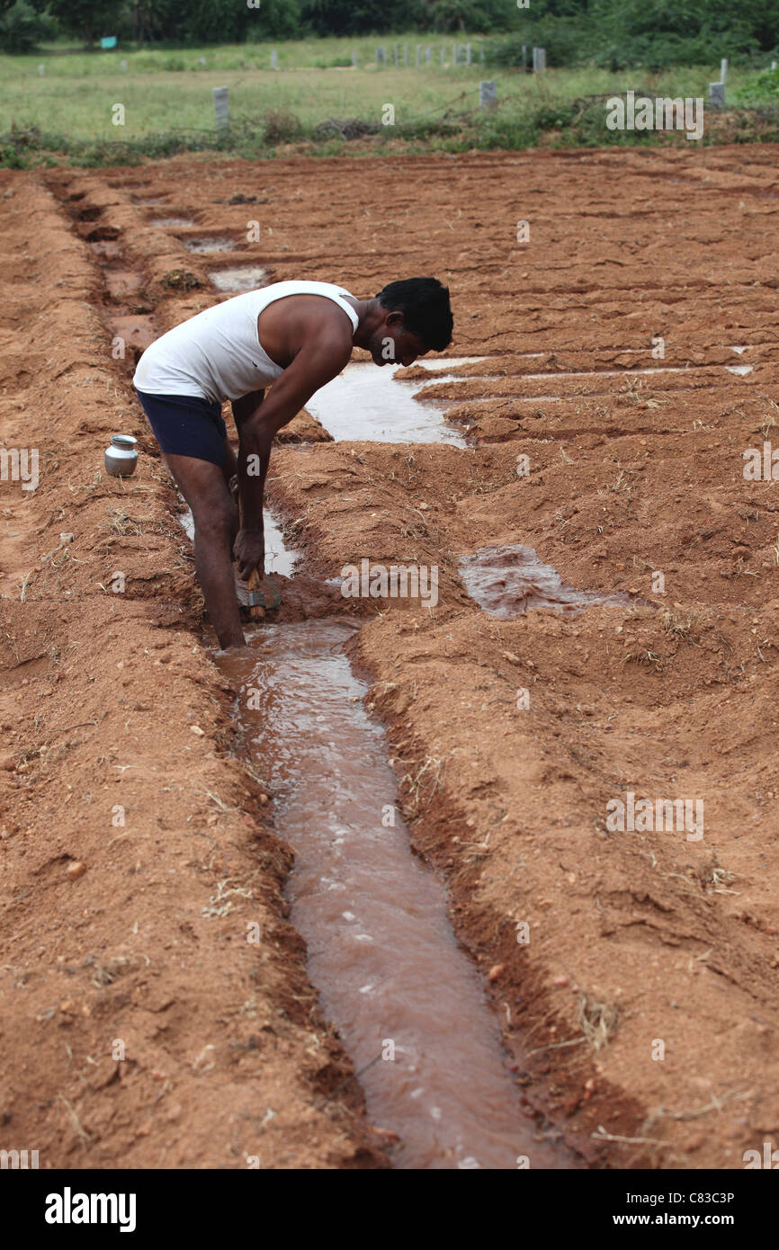 Irrigation india hires stock photography and images Alamy