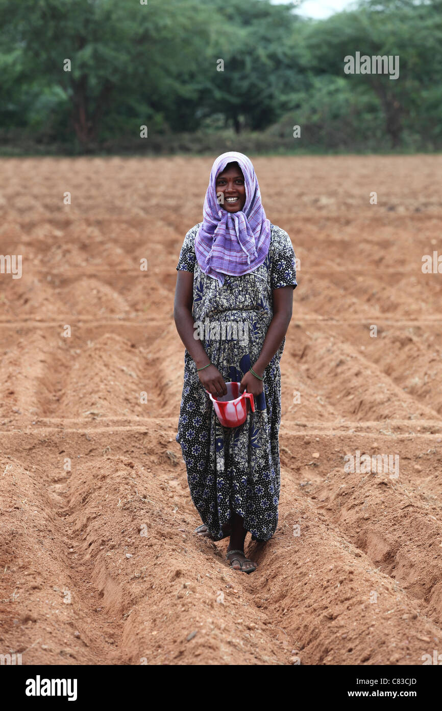 Woman working in a field Andhra Pradesh South India Stock Photo - Alamy