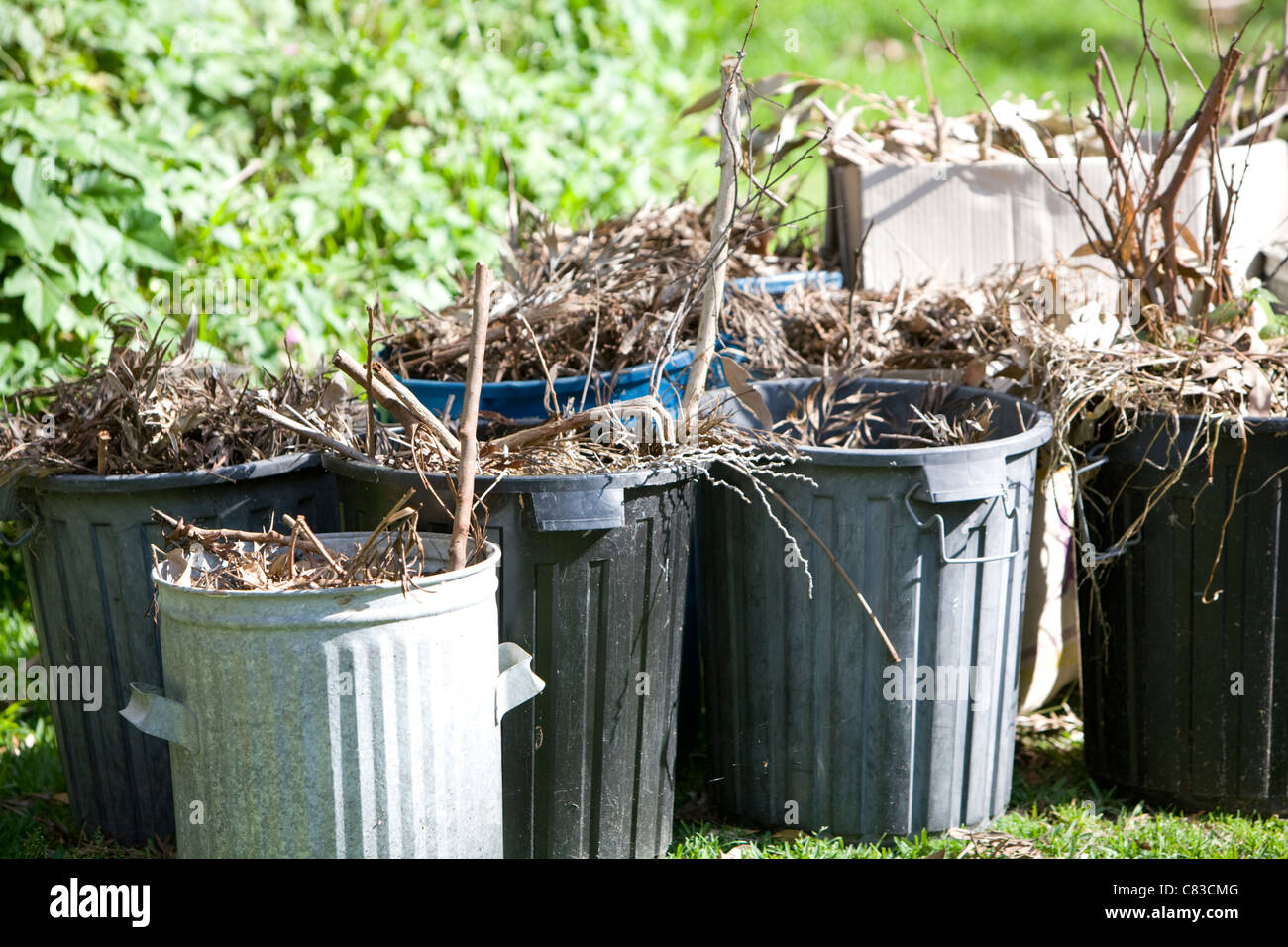 Council bin collection australia hires stock photography and images