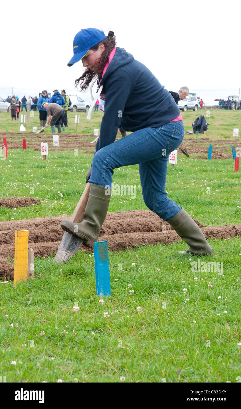 Ploughing Championship Ireland High Resolution Stock Photography And Images Alamy Ploughing Championship Ireland High Resolution Stock Photography And Images Alamy