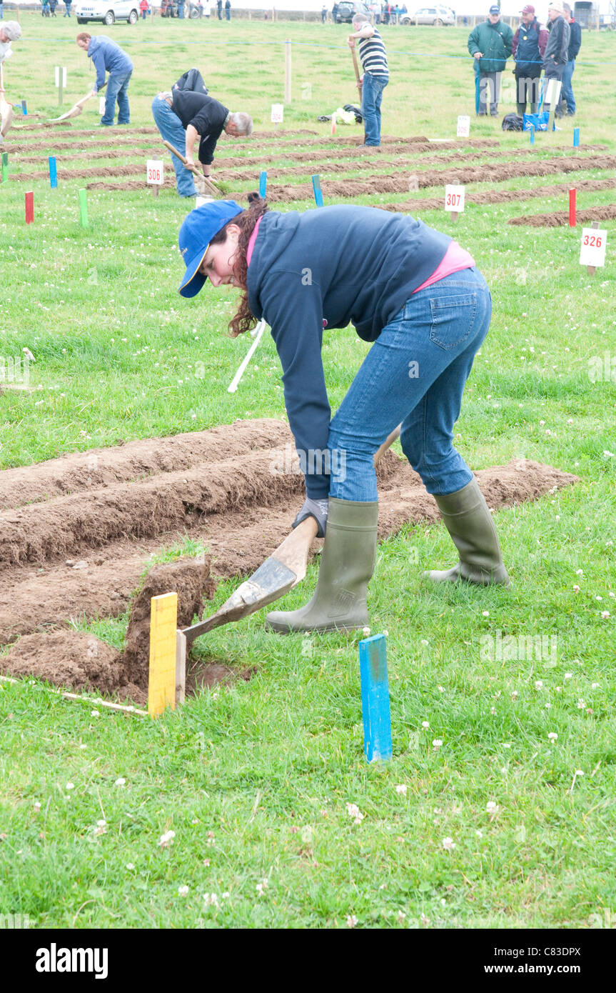 Ploughing Championship Ireland High Resolution Stock Photography And Images Alamy Ploughing Championship Ireland High Resolution Stock Photography And Images Alamy