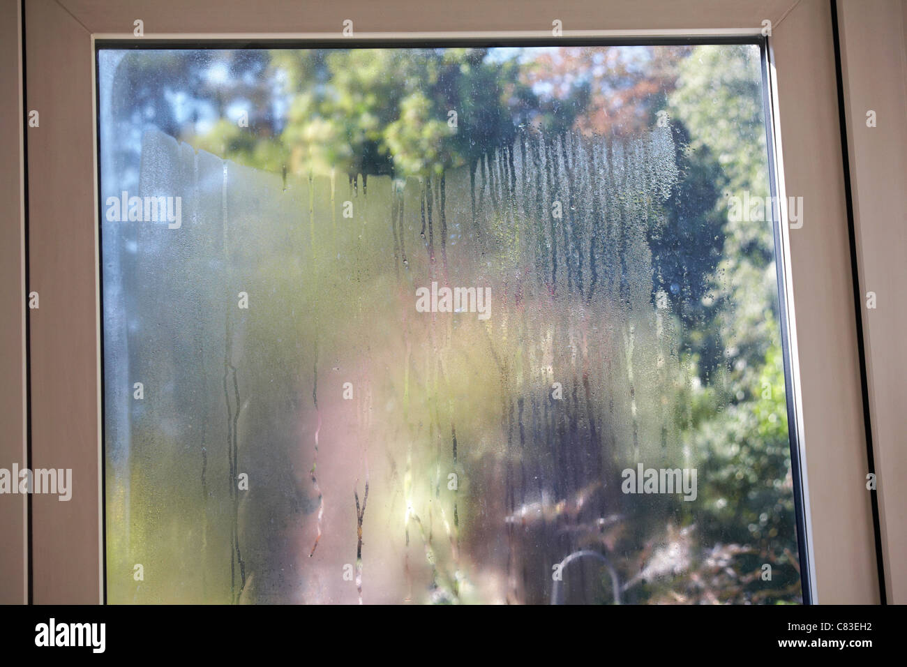 Damaged Upvc Sealed Unit In Double Glazed Door Showing
