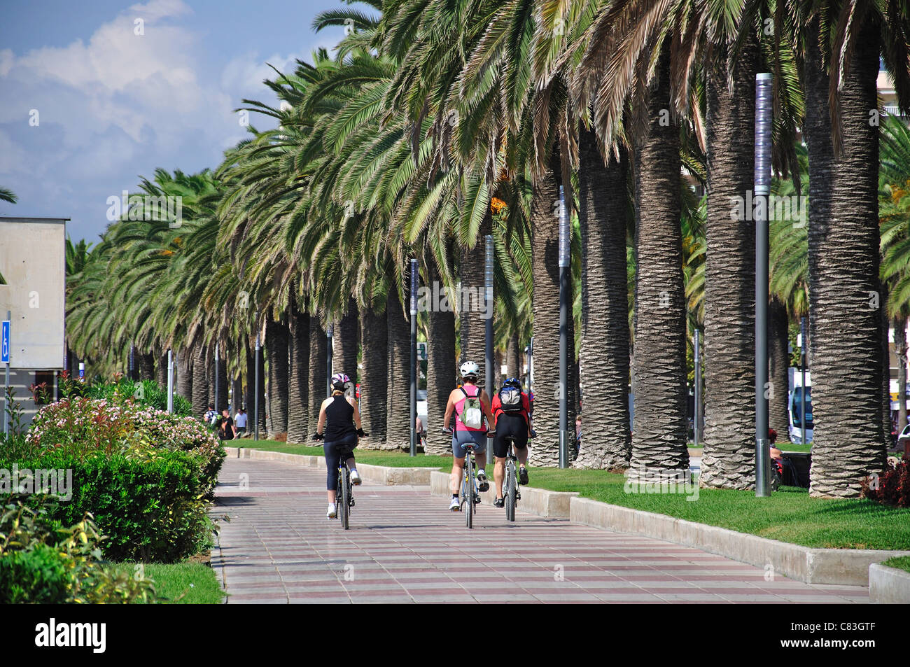 Cycle lane on Paseig de Jaime 1, Salou, Costa Daurada, Province of Tarragona, Catalonia, Spain Stock Photo