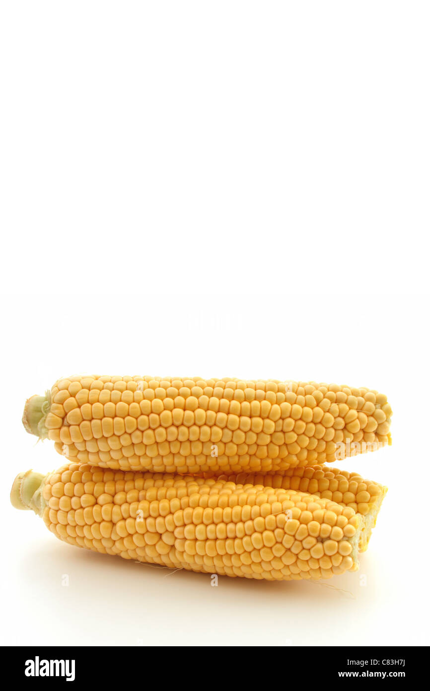 Corn on the cob,stacked, on a white background Stock Photo
