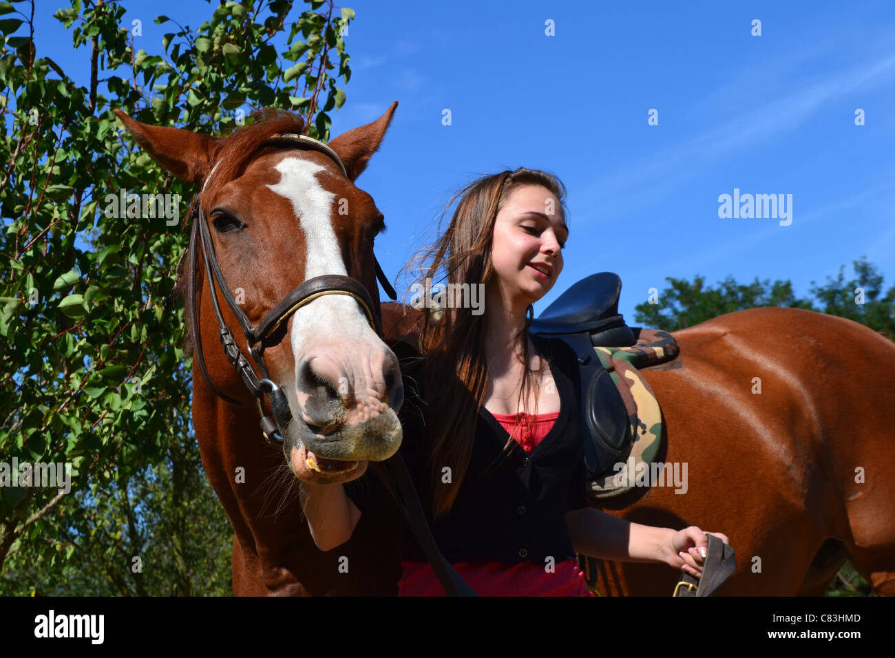 A long haired young woman leading a brown horse at a horse farm on a sunny day, with trees and the sky in the background. Stock Photo