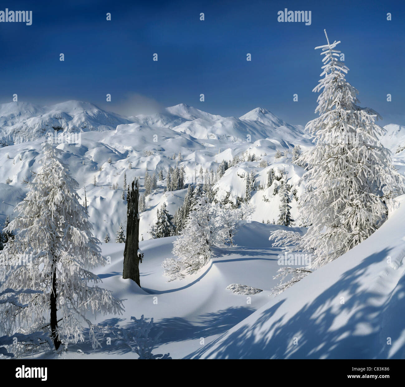 Snow covered mountains and trees in Tiglav National park, Slovenia Stock Photo