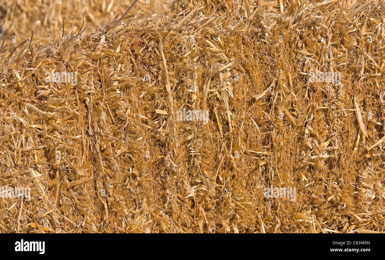 Image of straw closeup as textured background Stock Photo