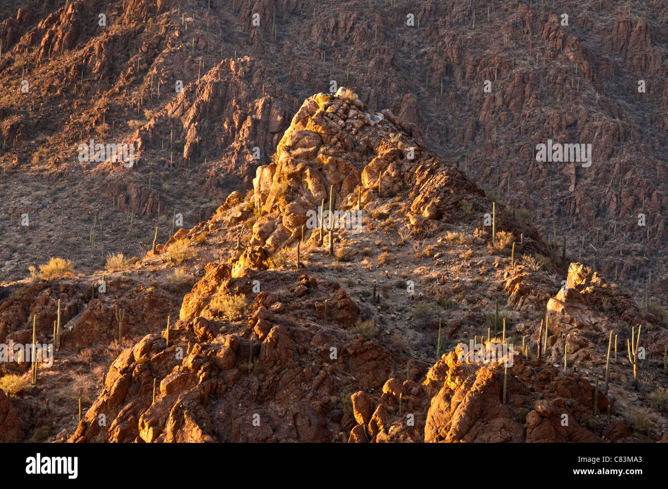 late afternoon light reflecting on mountain top at gates pass Stock Photo