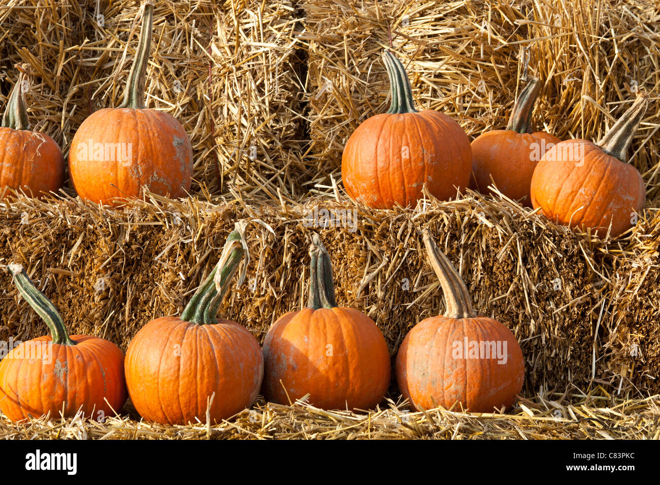 Pumpkins On Hay Bales For Sale At Farm Market Stock Photo Alamy