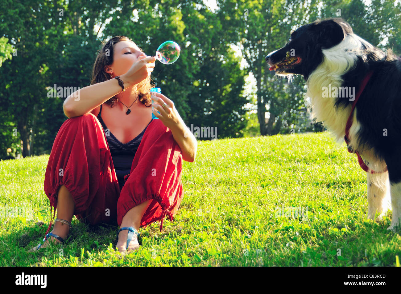 Woman blowing bubbles for dog in park Stock Photo Alamy