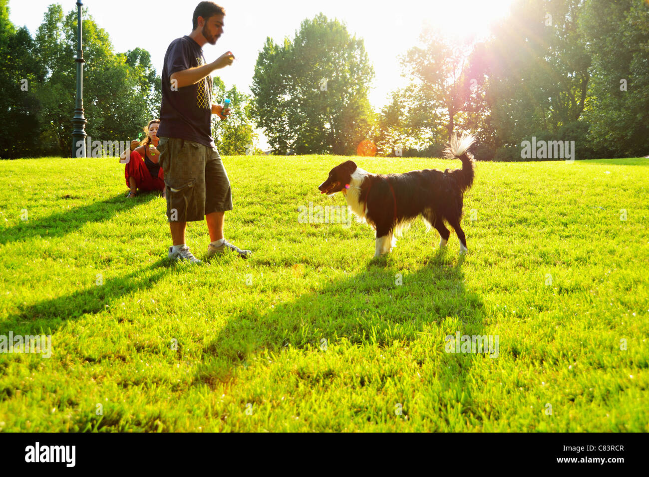 Man playing with dog in park Stock Photo