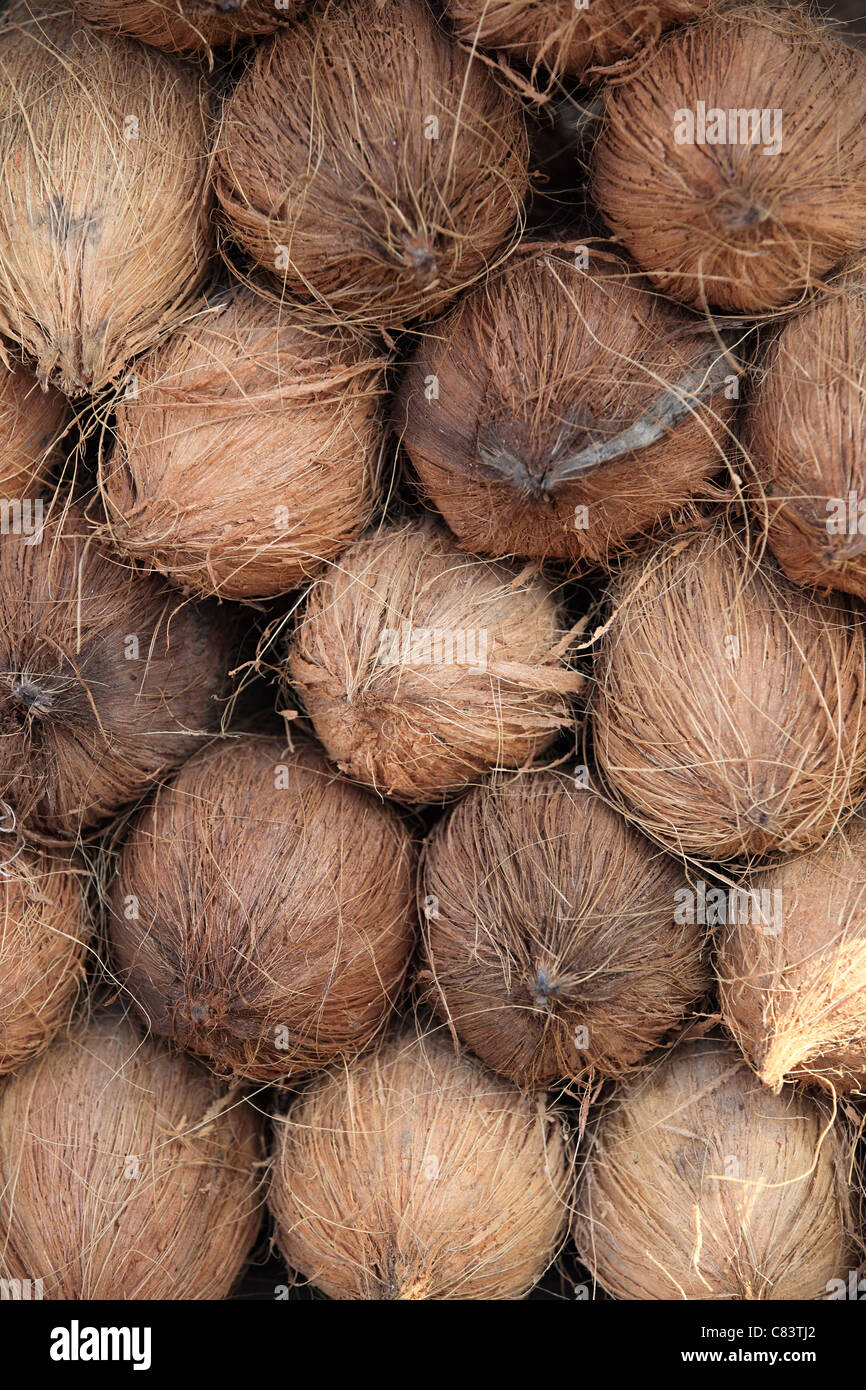 Coconuts hires stock photography and images Alamy