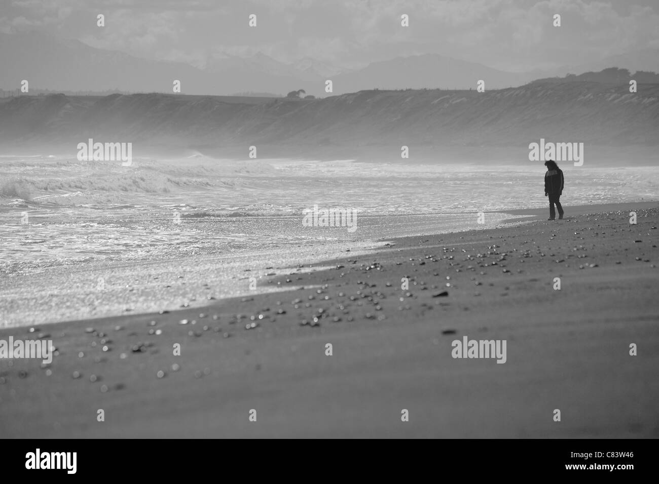 Women walking along a beach collecting shells Stock Photo - Alamy