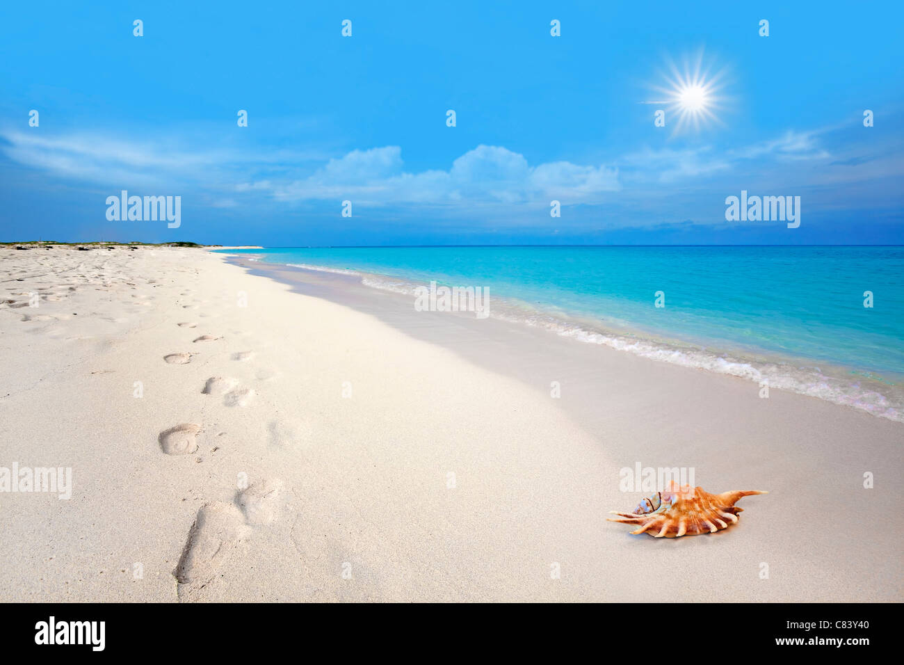 Footsteps and seashell in the white sand at Boca Grandi beach, Aruba Stock Photo