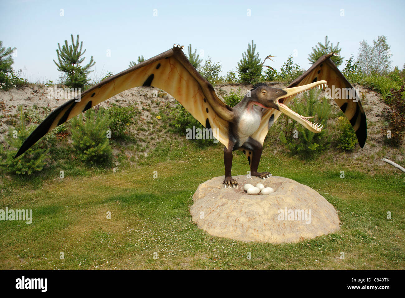 Cearadactylus (frightful finger) in Leba Park (dinosaur theme park), Poland Stock Photo