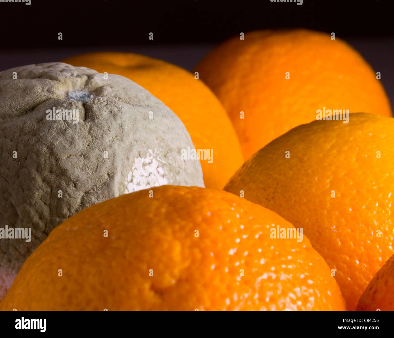 Inedible edible fruit hires stock photography and images Alamy