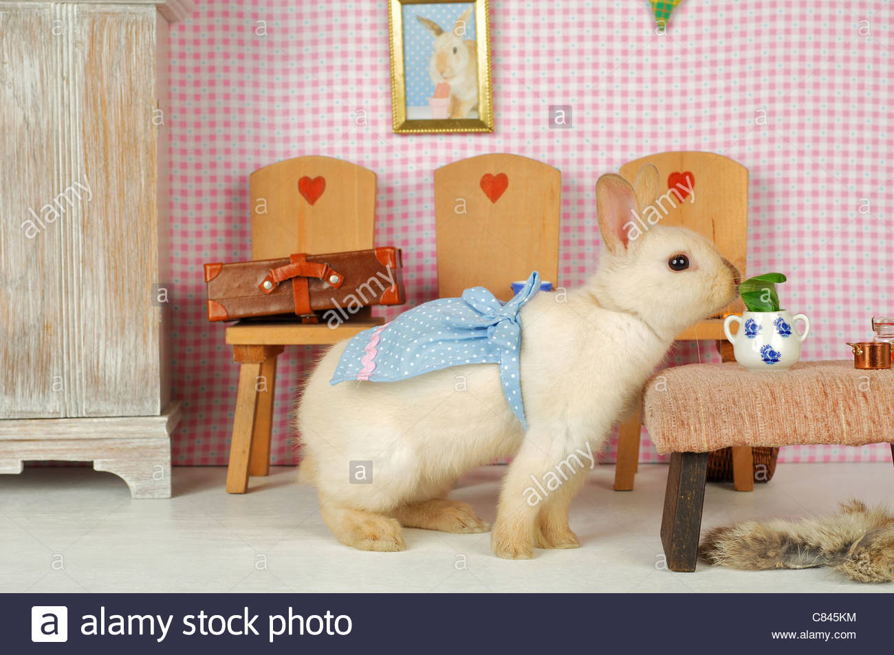 Dollhouse Stock Photos & Dollhouse Stock Images Alamy