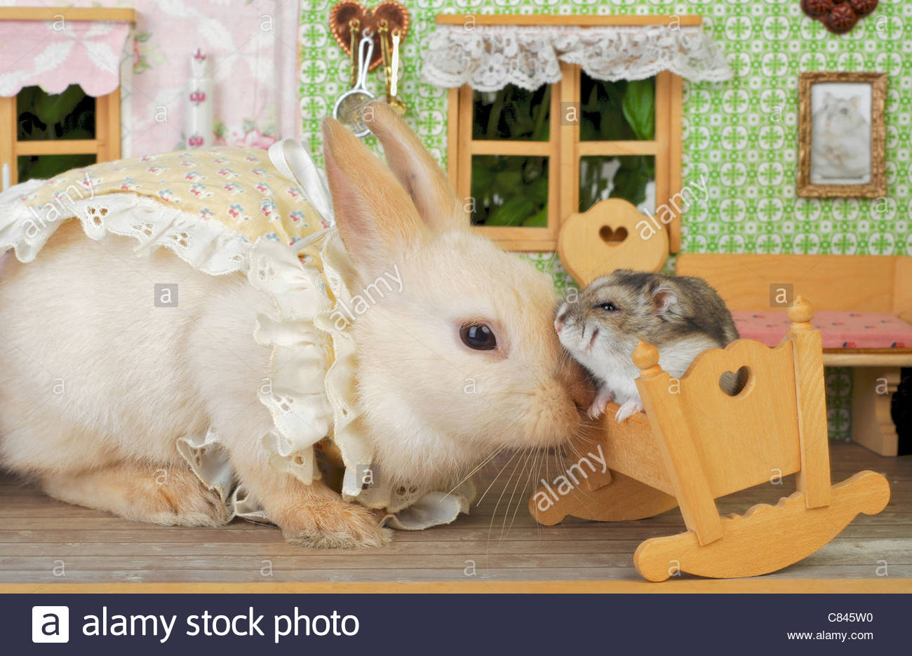 rabbit dollhouse