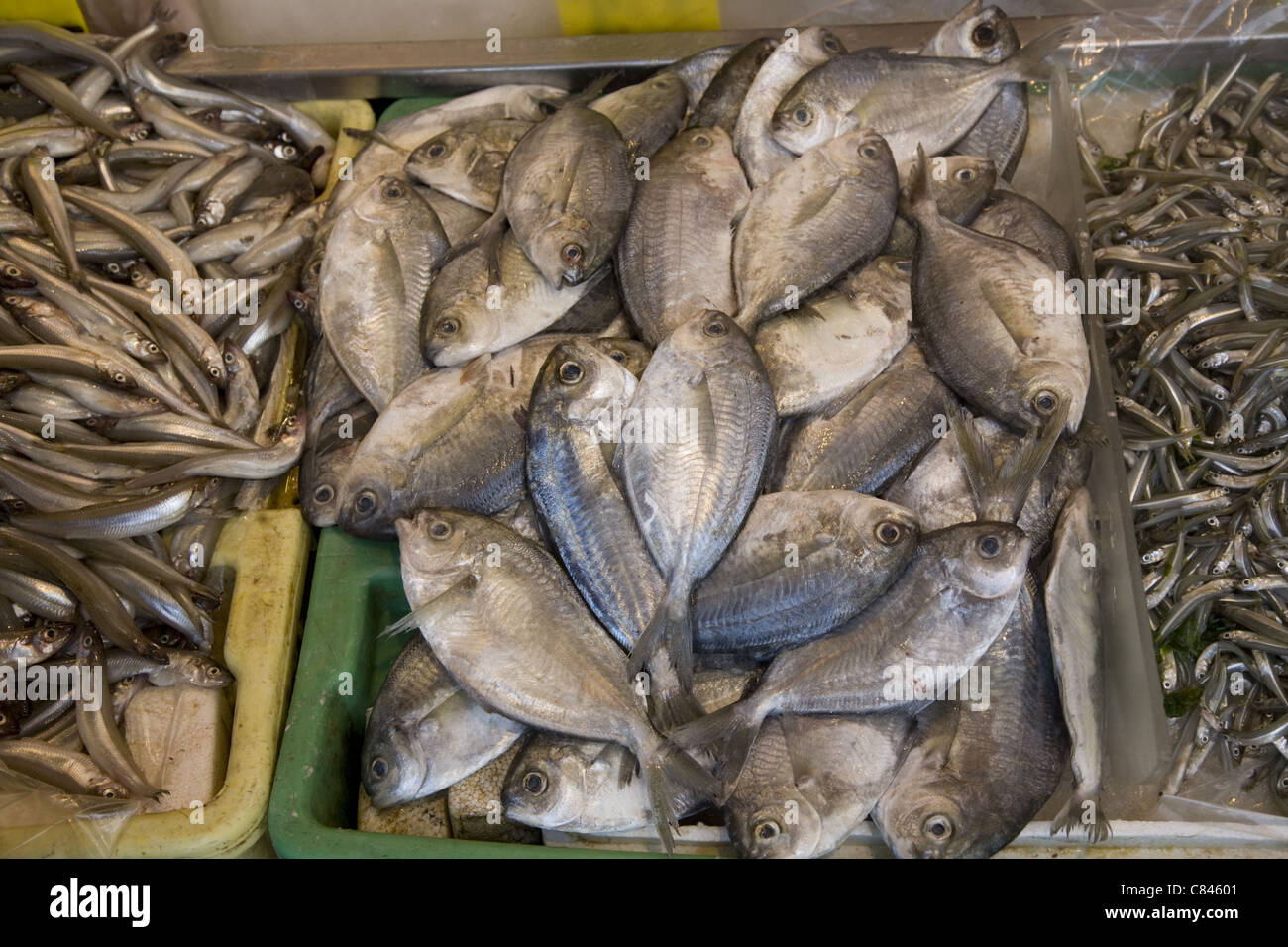 Fish Market, Chinatown, NYC Stock Photo Alamy