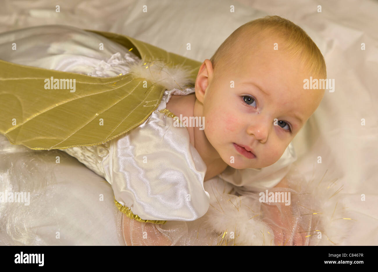 11 months old baby girl in angel dress Stock Photo
