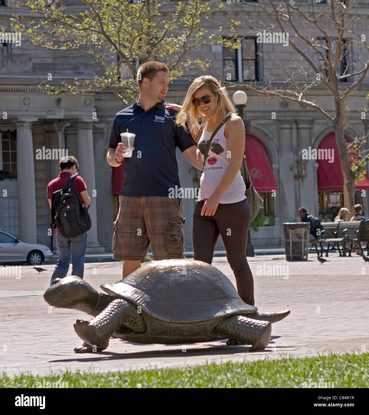 A tortoise sculpture in Boston draws attention from passersby. Stock Photo