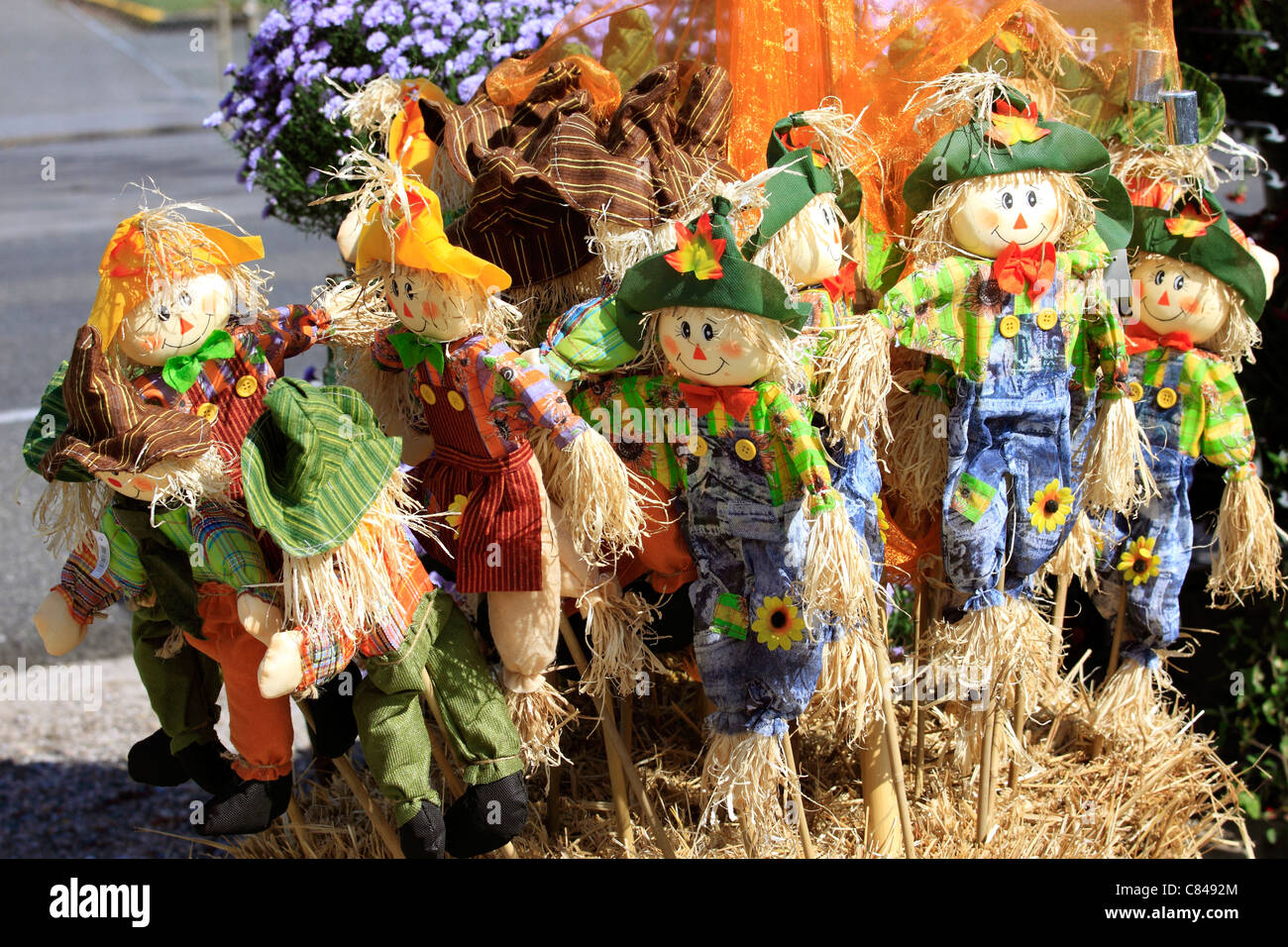 Farmstand gifts Long Island NY Stock Photo Alamy
