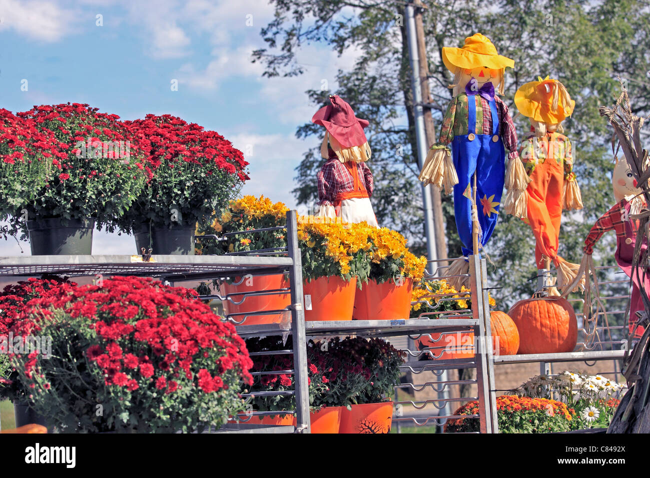 Farmstand gifts Long Island NY Stock Photo Alamy