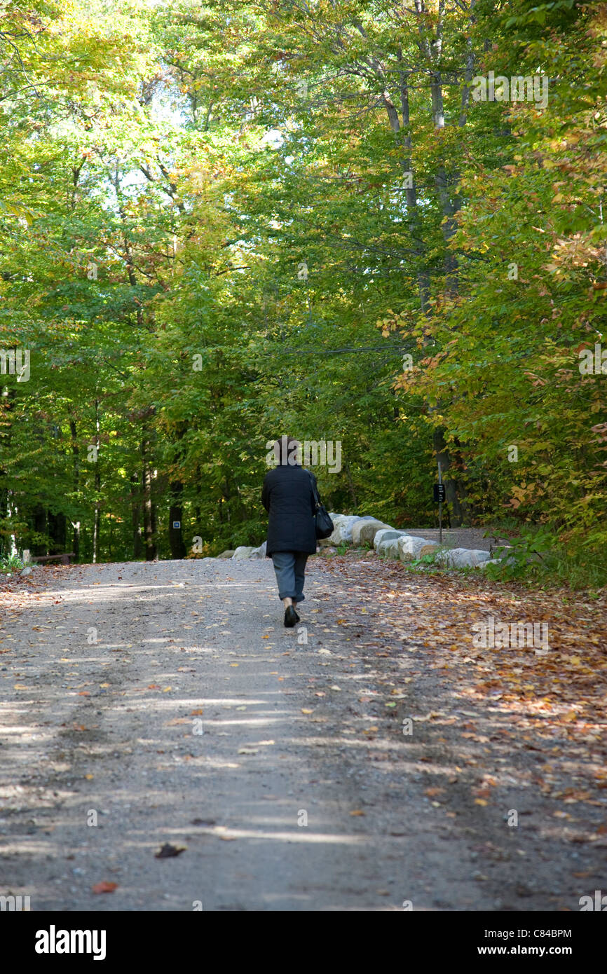 Person in the forest hi-res stock photography and images - Alamy
